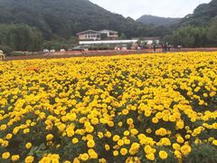 -广州市流溪河国家森林公园