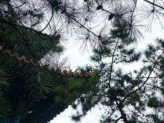 -挂甲禅寺