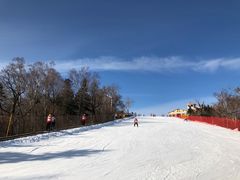 -亚布力新体委滑雪场