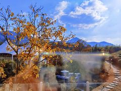 -帐篷客·溪龙茶谷度假酒店