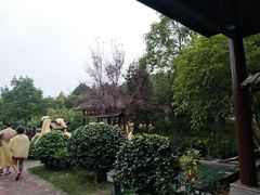 -咸宁万豪温泉谷度假区