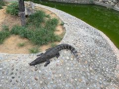 -石家庄市动物园