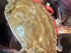 -仙螺岛海鲜自助餐厅(总店)