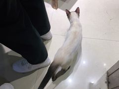 -奇门密室(五一新干线店)