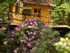 -名花谷生态庄园