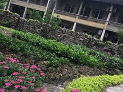 -乌村