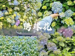 -苏州上方山国家森林公园