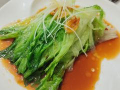 葱油西生菜-月福京味斋·烤鸭店·北京菜(鼓楼总店)