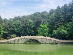 -铁山坪森林公园