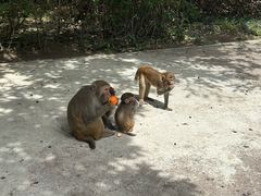 -柳州市动物园