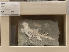 -敦煌市博物馆