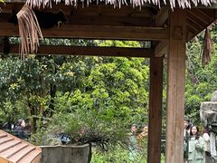 -黔灵山公园