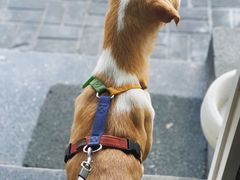 -mbd(华山路店)
