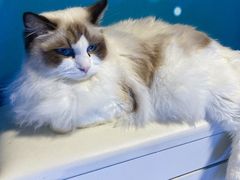 -零纪元VR体验馆·桌游(黄浦店)