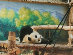 -青藏高原野生动物园