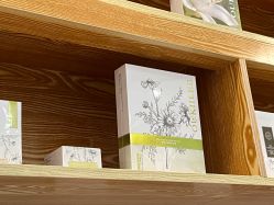 -慈蕊美容养生·专业经络调理