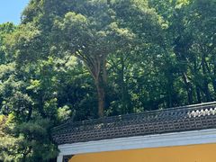 -城市阳台