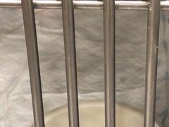 -艾吉宠物医院·疑难杂症转诊中心·猫友好(碧江路院)