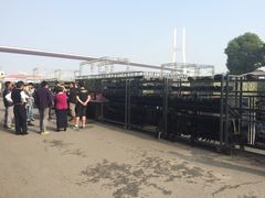 -镭战大联盟真人CS·生日派对·亲子聚会·团建(天安千树店)