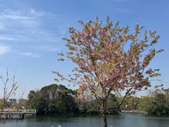 -新江湾城公园