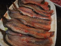 泥鳅片-肥龙火锅(南坪店)