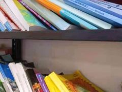 -菠萝国际教育专注Alevel·IGCSE·IB·AP·托福雅思培训辅导(静安校区)