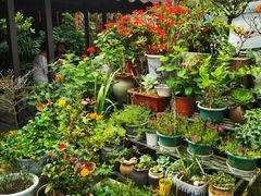 -王万妈卤猪脚(青岩交通路)