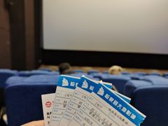 -临泉大地影城(大润发店)