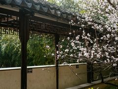 -长江路历史文化街区