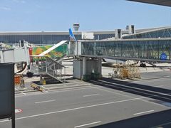 -郑州新郑国际机场-T2航站楼