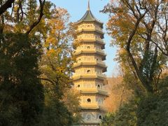 -灵谷景区