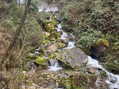 -鹿院坪生态旅游景区