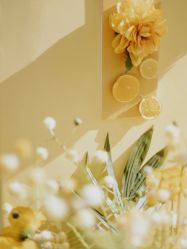 -忆江南婚礼策划(姑苏店)