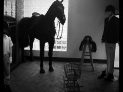 -松声马术俱乐部