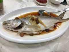 -光头匠