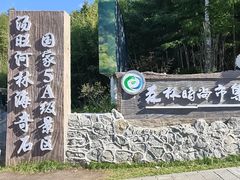 -汤旺河林海奇石景区