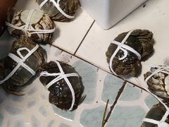 -秋月舫(阳澄湖湖滨中路店)