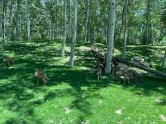 -北京野生动物园