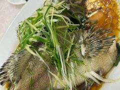 -凤城礼记鱼翅海鲜酒家(新马路总店)