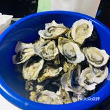 20元一打的生蚝，你们在深圳吃过比这个更加便宜的吗