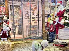 -秀儿家の小确幸融合西餐厅(万达店)