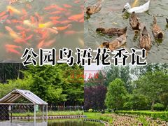 -仁和公园(顺义区)