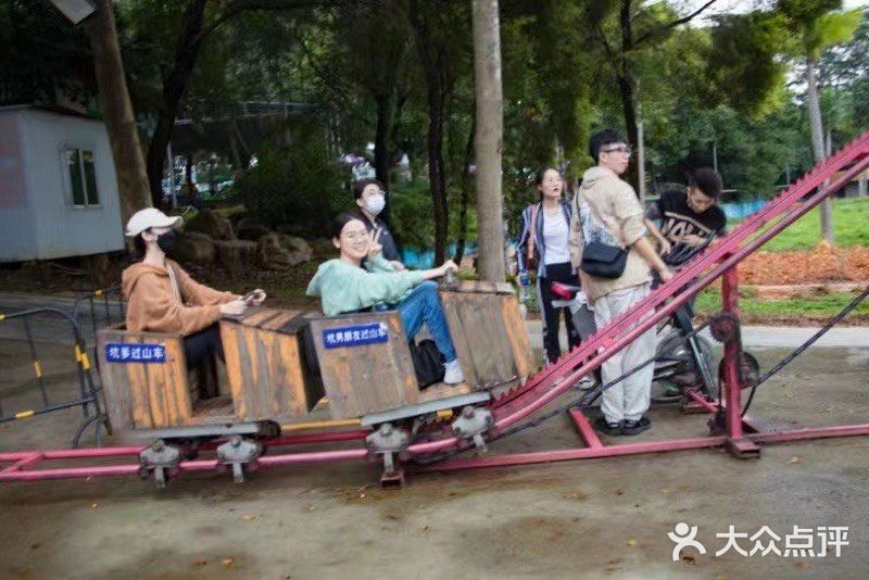 松山湖南湖湾露营营地图片