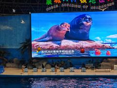 -泉城欧乐堡海洋极地世界