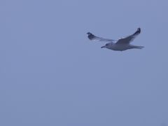 -金梦海湾浴场