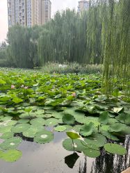 -宝馨月月子中心(友谊医院店)