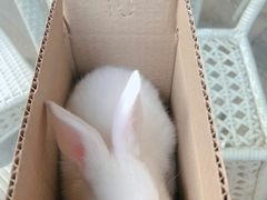 -易生活购物公园