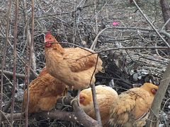 -南京金牛湖风景区