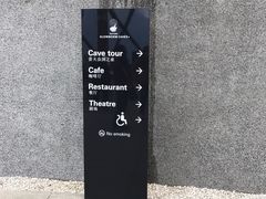 -怀托摩萤火虫洞