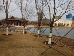 -西海子公园